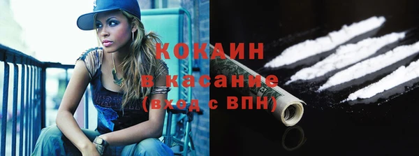 сатива Абаза