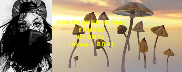МДПВ Абдулино