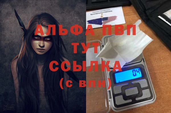 сатива Абаза