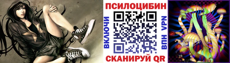 Псилоцибиновые грибы прущие грибы как найти Алейск